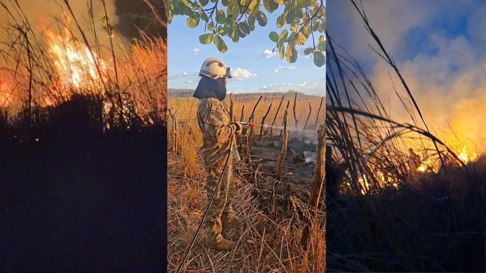 Incêndio de grandes proporções é contido em Aroazes após uma semana de combate