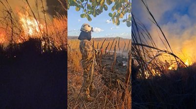 Incêndio de grandes proporções é contido em Aroazes após uma semana de combate (Foto: FEISP)