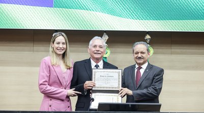 O homenageado também é presidente da Associação Brasileira de Engenheiros Eletricistas (Foto: ASCOM/ALEPI)