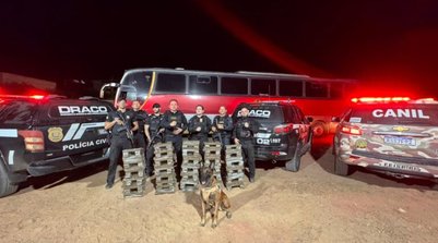 O material apreendido está avaliado em R$ 2 milhões. (Foto: Reprodução/SSPI)