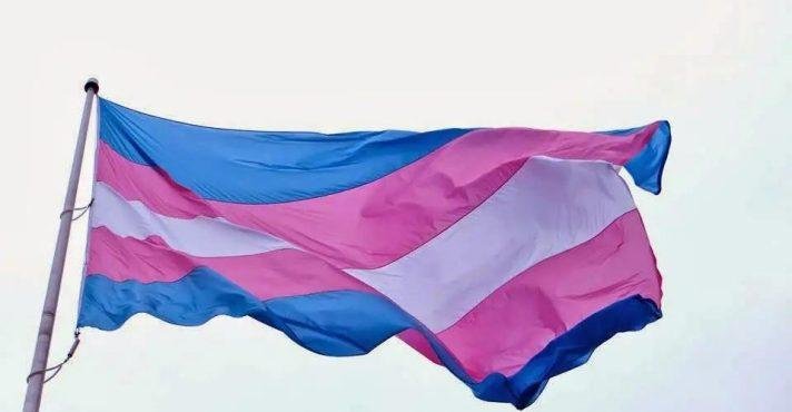 O movimento trans abriga as pessoas transgênero, não-binárias e de outras identidades de gênero que não se alinham com o sexo atribuído ao nascer