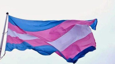 O movimento trans abriga as pessoas transgênero, não-binárias e de outras identidades de gênero que não se alinham com o sexo atribuído ao nascer (Foto: Reprodução/Redes sociais)