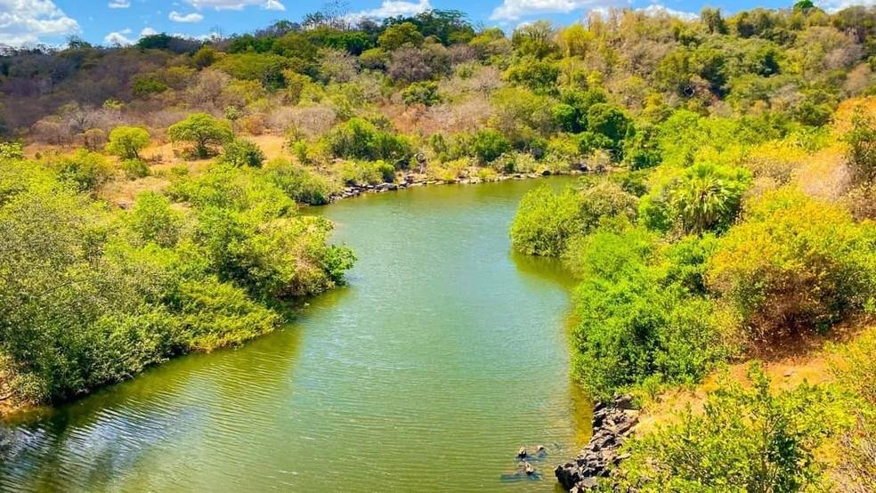 Piauí tem redução de desmatamento.
