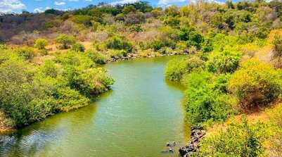 Piauí tem redução de desmatamento. (Foto: Ascom Semarh)