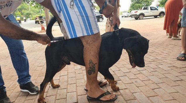 A ação será dividida em duas etapas: no dia 22 de novembro, das 8h às 17h, a vacinação ocorrerá nas zonas Norte e Leste; já no dia 29, no mesmo horário. (Foto: Ascom FMS)