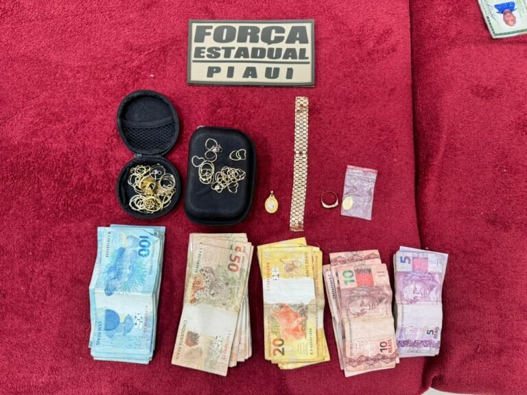 A nova fase da ação é, voltada à repressão de crimes patrimoniais e à desarticulação de um grupo investigado por furtos qualificados, receptação e associação criminosa.