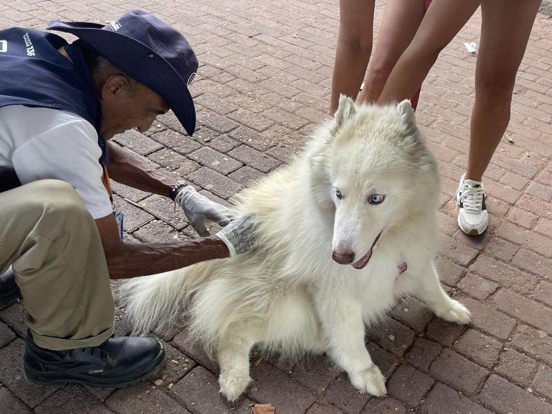 A raiva é uma enfermidade viral grave, causada por um vírus do gênero Lyssavirus