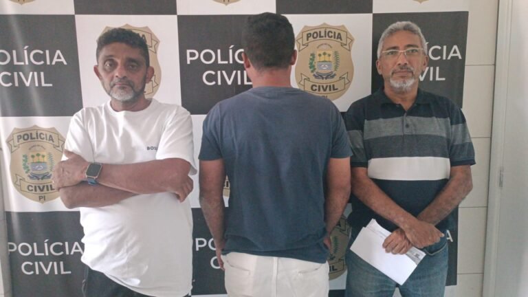 As diligências foram executadas pela 1ª Delegacia Seccional – Divisão 03.