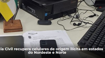 De acordo com o delegado Arthur Leal, é importante que a população adote medidas preventivas (Foto: Reprodução/SSPI)