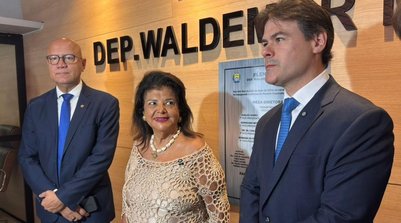 Empresária Luiza Trajano recebe título de cidadã piauiense na Assembleia (Foto: Sthefany Prado (G1/PI))