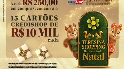 Para participar é simples: a cada R$250,00 em compras realizadas nas lojas participantes do Teresina Shopping (Foto: Reprodução)