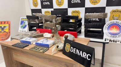 De acordo com as informações apuradas, a droga tinha como destino o abastecimento de pontos de comercialização (Foto: Reprodução/SSPI)