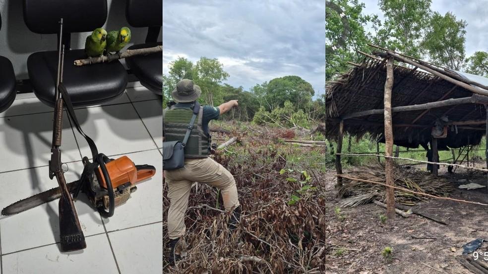 Fiscalização flagra desmatamento em área de preservação no PI