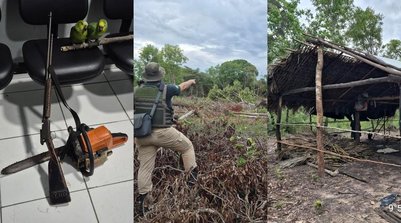Fiscalização flagra desmatamento em área de preservação no PI (Foto: Reprodução)