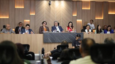 Profissionais cobraram atualização do Plano e ampliação de vagas para efetivos (Foto: Régis Falcão / Ascom Alepi)