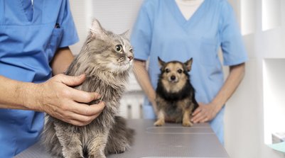 Sobre a Unifacid Wyden (Foto: Reprodução)