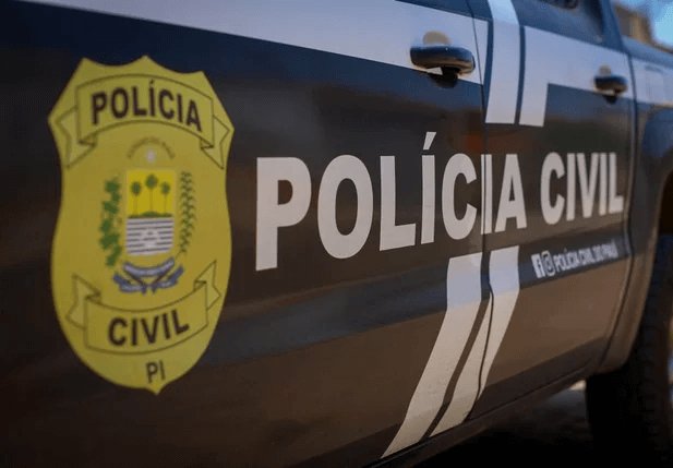 Durante a ação, policiais civis apreenderam grande quantidade