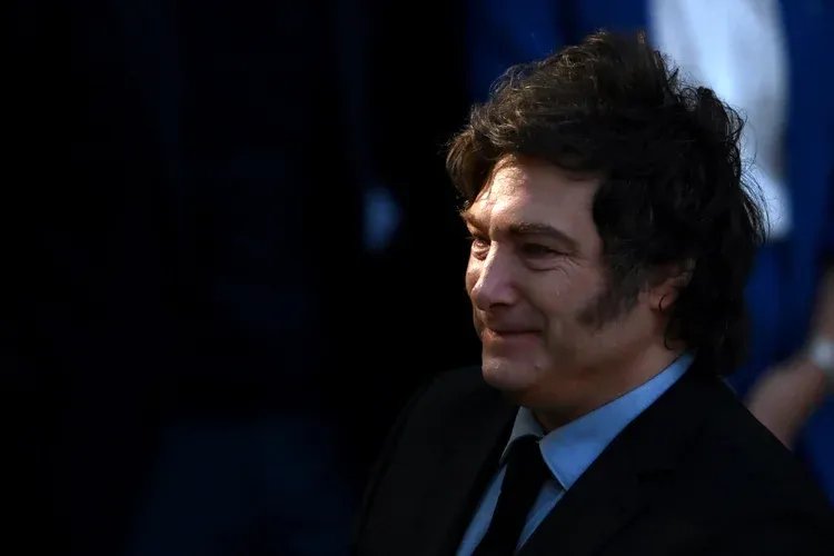 Governo argentino também anunciou uma "revisão estrutural" dos organismos nacionais de saúde (Luis ROBAYO / AFP)