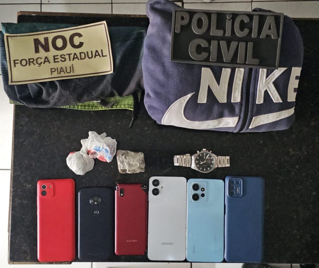 Em virtude do cumprimento da medida cautelar houve apreensão