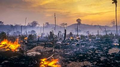 Incêndio na Amazônia. O desmatamento da floresta não está vinculado somente à produção direta de grãos ou de proteína animal (Foto: Brasil2/GettyImages)