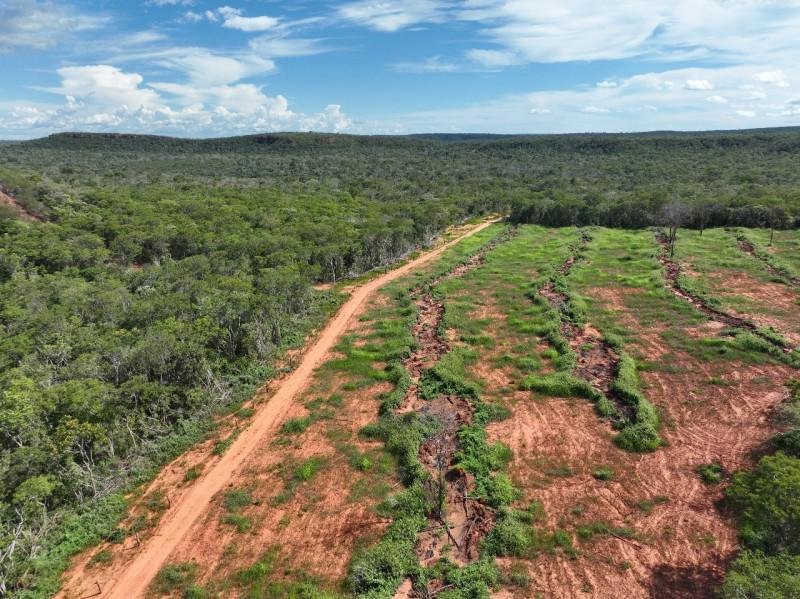 No extremo Sul do Piauí, masde 4000 hectares de vegetação foi desmatada ilegalmente - (Reprodução)