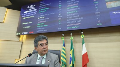 Outro projeto apresentado pelo parlamentar visa instituir a Política Estadual (Foto: Reprodução/ALEPI)