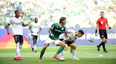 Palmeiras x Botafogo (Foto: Marcos Ribolli)
