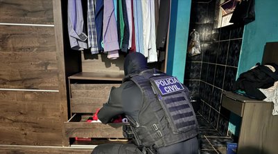 Participam da ação 132 integrantes das forças operacionais (Foto: Reprodução/SSPI)