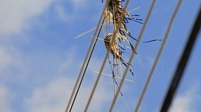 Procure sempre locais abertos e longe da rede elétrica. (Foto: Reprodução)