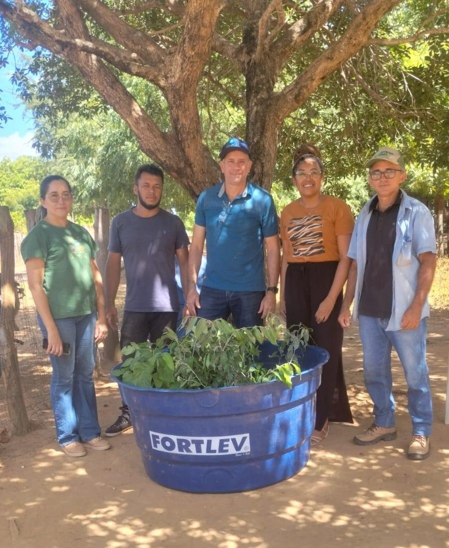 Projeto do CTF/UFPI implanta horta escolar e revitaliza espaço comunitário no quilombo Mimbó