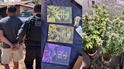 Suspeito de manter estufa de maconha em casa é preso com livros sobre planta, armas e munições no PI (Foto: Divulgação/Polícia Civil)