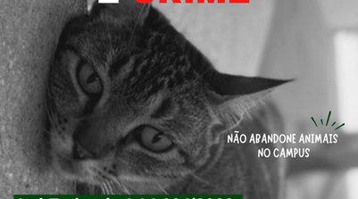 UFPI lança campanha de combate ao abandono animal na Instituição (Foto: Divulgação / UFPI)