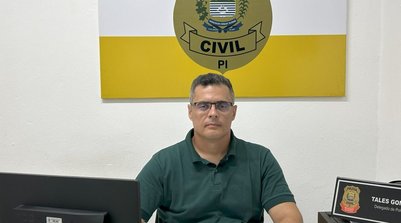 A investigação teve início a partir do registro de ocorrência que apontava indícios de denunciação caluniosa, calúnia (Foto: Reprodução/SSPI)