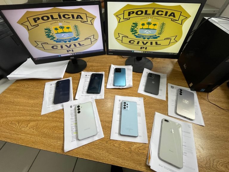 As ações ocorreram em diversas localidades, abrangendo o estado do Piauí,