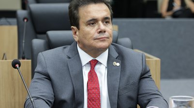 Deputado diz que brasileiros ganham com nomeação (Foto: Reprodução/ALEPI)