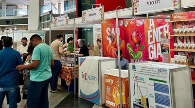 O Festival da Cajuína 2025 já tem data marcada (Foto: Reprodução)