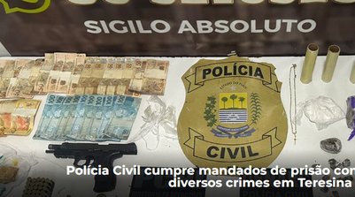 A ação contou com apoio do Departamento de Homicídios e Proteção à Pessoa (DHPP (Foto: Reprodução/SSPI)