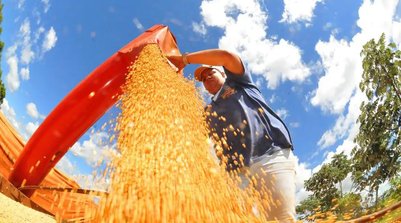 A expectativa é de um volume total de 353,8 milhões de toneladas (Foto: Reprodução)