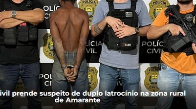 A Polícia Civil, por meio da Delegacia de Amarante e com apoio da Diretoria de Polícia Metropolitana (Foto: Reprodução/SSPI)