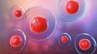 Células tronco embrionárias (Foto: Freepik)