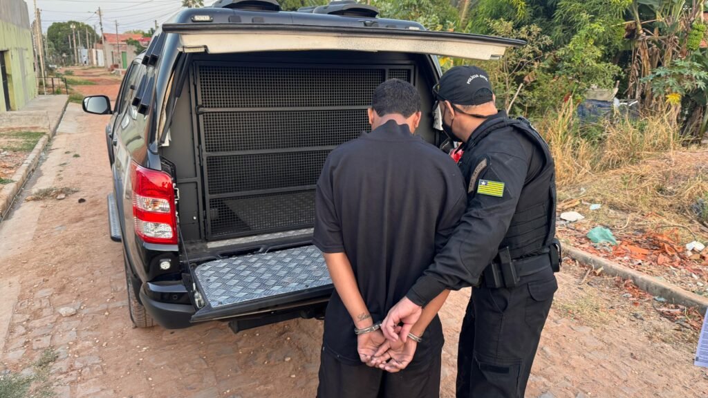 De acordo com o coordenador do Departamento de Roubo e Furto de Veículos