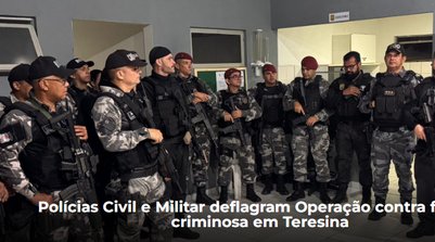 Durante a operação, um empresário foi preso. Além disso, mandados foram cumpridos (Foto: Reprodução/SSPI)