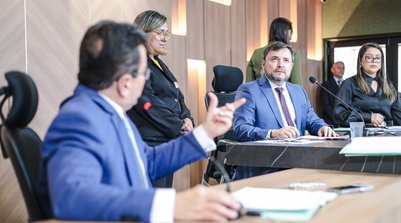 O emedebista apresentou requerimento aprovado na sessão desta terça-feira (Foto: Reprodução/ALEPI)