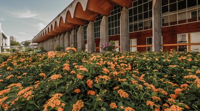 Projetos sobre segurança e proteção às crianças foram apreciados (Foto: Reprodução/ALEPI)