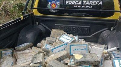 Tabletes de cocaína foram recolhidos próximos aos destroços da aeronave (Foto: Reprodução/PM Alagoas)
