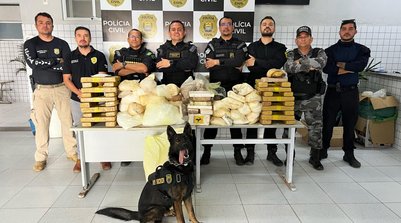 Além das operações deflagradas, foram 315 mandados de prisão cumpridos, 248 pessoas presas, 884 mandados de busca e apreensão executados (Foto: Reprodução/SSPI)