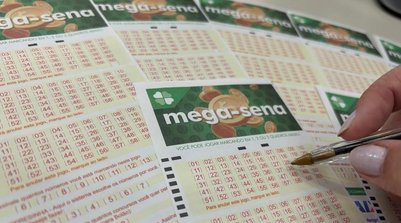 Mega-Sena bilhete volante Loterias (Foto: Millena Sartori/g1)
