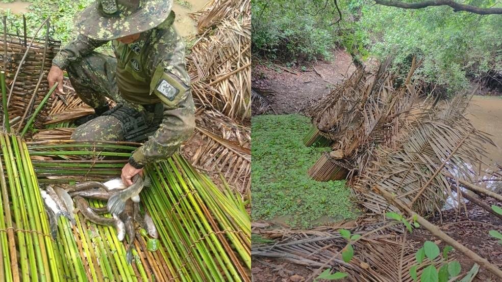 Operação Piracema: armadilhas para pesca ilegal são destruídas no Piauí