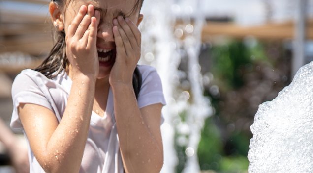 Outro ponto de atenção são os acidentes domésticos (Foto: Reprodução)