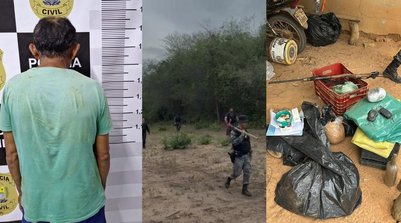 Plantação de maconha é encontrada em Pajeú do Piauí (Foto: Reprodução/SSP-PI)